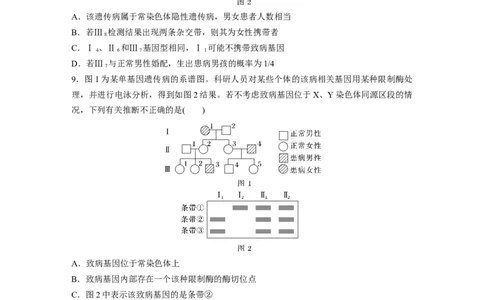 第五单元课时练28伴性遗传和人类遗传病_2025年新高考资料_一轮复习_2025大一轮复习讲义+课件（完结）_2025大一轮复习讲义生物学生用书Word版文档整书_2025一轮复习73练