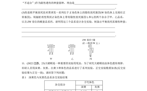 第五单元课时练28伴性遗传和人类遗传病_2025年新高考资料_一轮复习_2025大一轮复习讲义+课件（完结）_2025大一轮复习讲义生物学生用书Word版文档整书_2025一轮复习73练