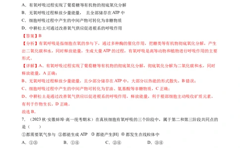第9讲细胞呼吸（练习）（解析版）_新高考复习资料_2024年新高考复习资料_一轮复习资料_完2024年高考生物一轮复习讲练测(课件+讲义+练习)（新高考）_讲义+练习