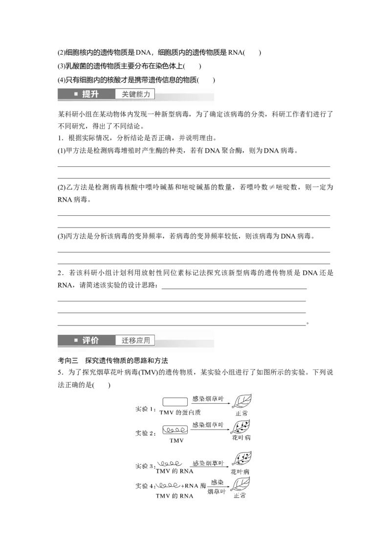 第六单元　第29课时　DNA是主要的遗传物质_2025年新高考资料_一轮复习_2025大一轮复习讲义+课件（完结）_2025大一轮复习讲义生物学生用书Word版文档整书_2025大一轮复习讲义