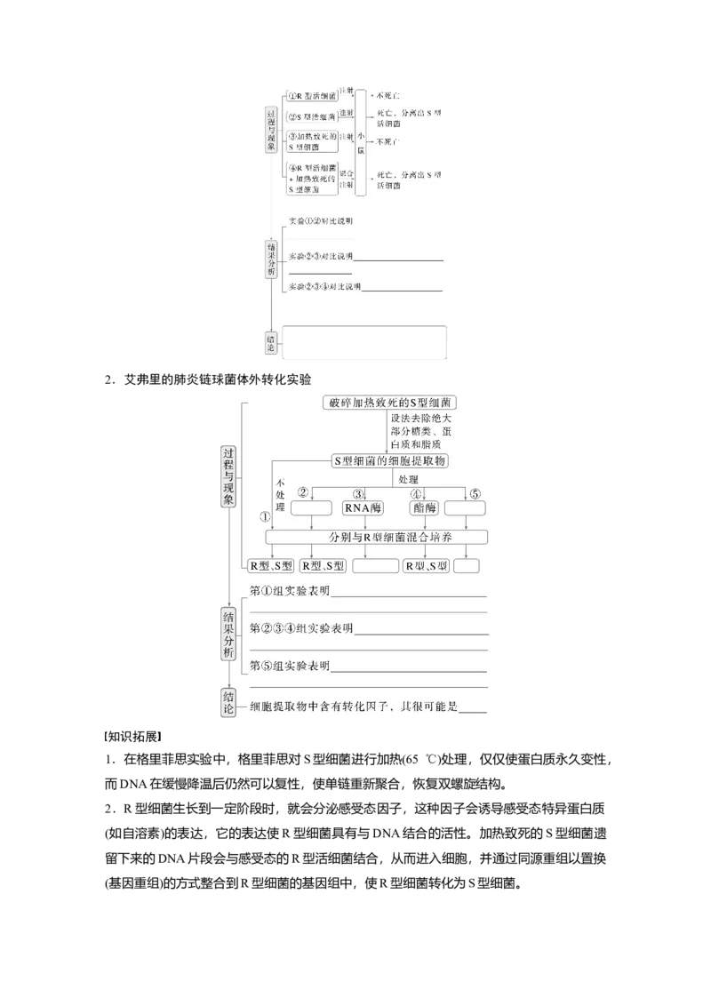 第六单元　第29课时　DNA是主要的遗传物质_2025年新高考资料_一轮复习_2025大一轮复习讲义+课件（完结）_2025大一轮复习讲义生物学生用书Word版文档整书_2025大一轮复习讲义
