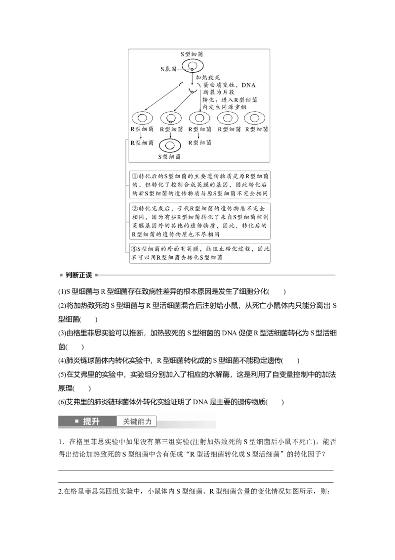 第六单元　第29课时　DNA是主要的遗传物质_2025年新高考资料_一轮复习_2025大一轮复习讲义+课件（完结）_2025大一轮复习讲义生物学生用书Word版文档整书_2025大一轮复习讲义