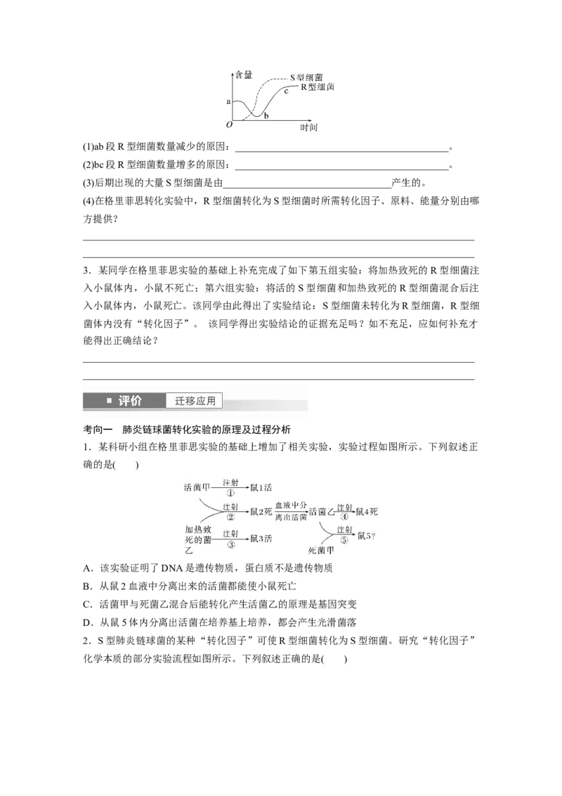 第六单元　第29课时　DNA是主要的遗传物质_2025年新高考资料_一轮复习_2025大一轮复习讲义+课件（完结）_2025大一轮复习讲义生物学生用书Word版文档整书_2025大一轮复习讲义