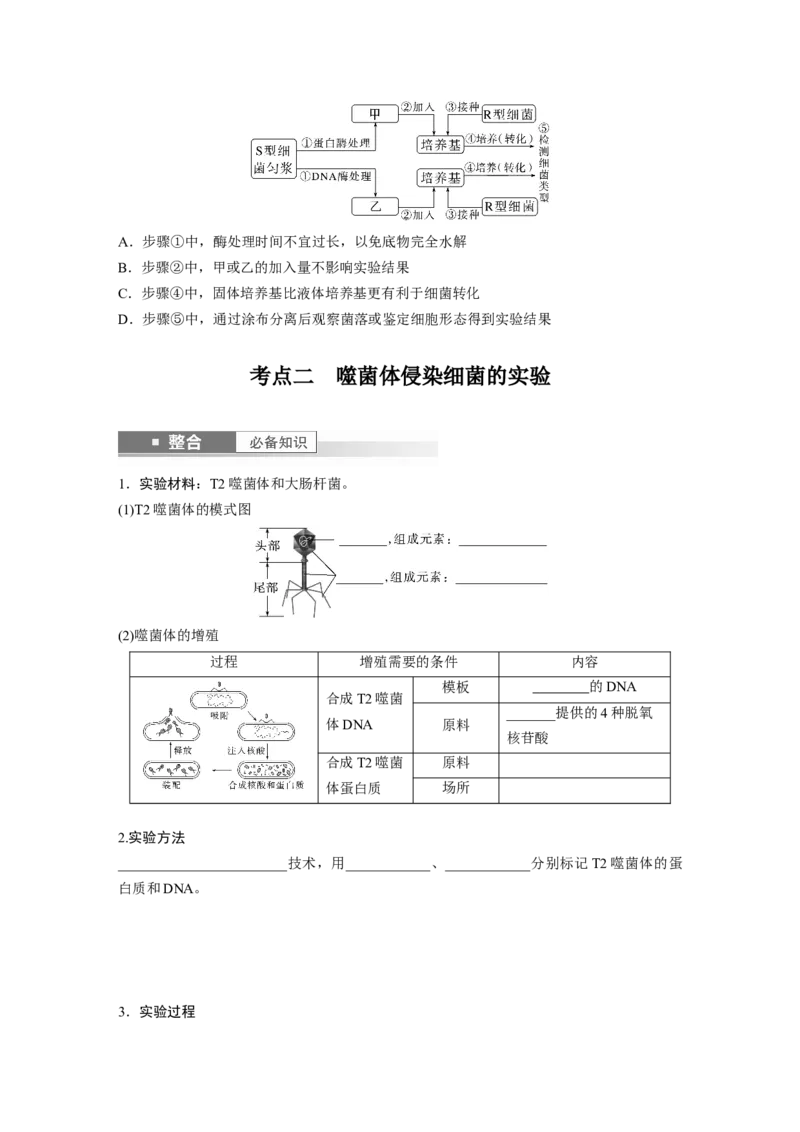 第六单元　第29课时　DNA是主要的遗传物质_2025年新高考资料_一轮复习_2025大一轮复习讲义+课件（完结）_2025大一轮复习讲义生物学生用书Word版文档整书_2025大一轮复习讲义
