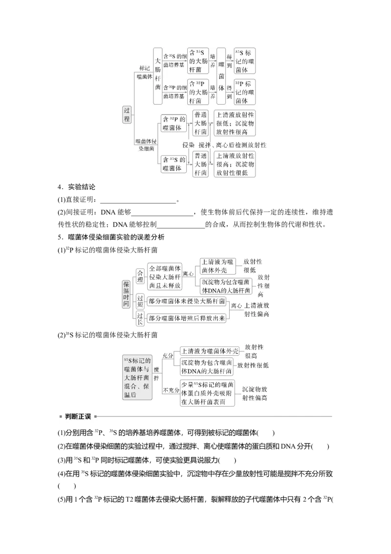 第六单元　第29课时　DNA是主要的遗传物质_2025年新高考资料_一轮复习_2025大一轮复习讲义+课件（完结）_2025大一轮复习讲义生物学生用书Word版文档整书_2025大一轮复习讲义