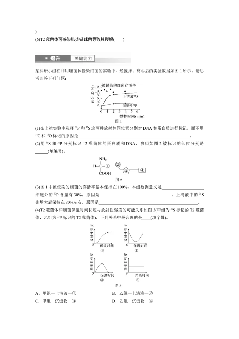 第六单元　第29课时　DNA是主要的遗传物质_2025年新高考资料_一轮复习_2025大一轮复习讲义+课件（完结）_2025大一轮复习讲义生物学生用书Word版文档整书_2025大一轮复习讲义