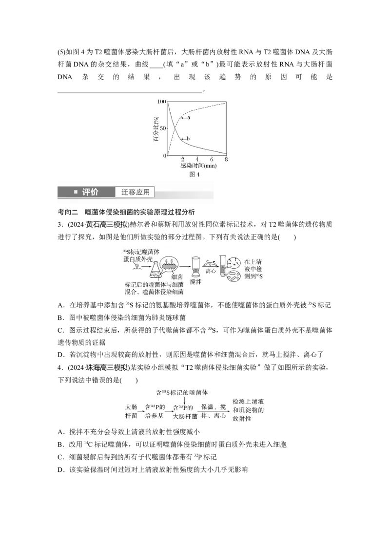 第六单元　第29课时　DNA是主要的遗传物质_2025年新高考资料_一轮复习_2025大一轮复习讲义+课件（完结）_2025大一轮复习讲义生物学生用书Word版文档整书_2025大一轮复习讲义