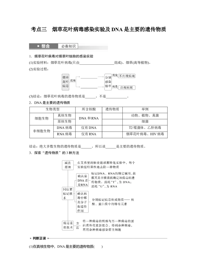 第六单元　第29课时　DNA是主要的遗传物质_2025年新高考资料_一轮复习_2025大一轮复习讲义+课件（完结）_2025大一轮复习讲义生物学生用书Word版文档整书_2025大一轮复习讲义