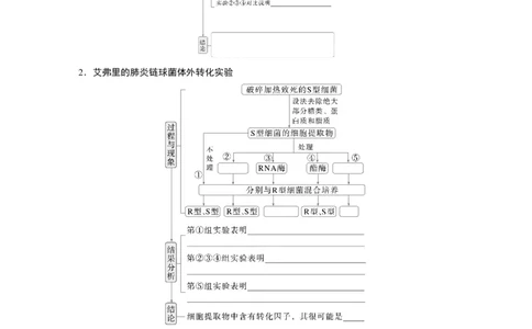 第六单元　第29课时　DNA是主要的遗传物质_2025年新高考资料_一轮复习_2025大一轮复习讲义+课件（完结）_2025大一轮复习讲义生物学生用书Word版文档整书_2025大一轮复习讲义