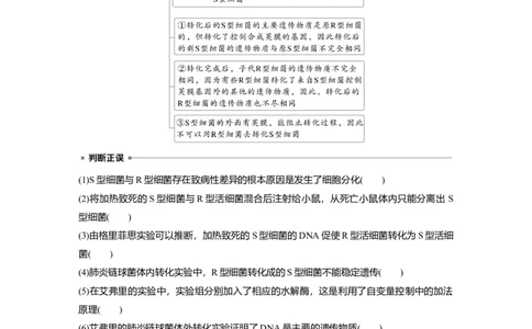 第六单元　第29课时　DNA是主要的遗传物质_2025年新高考资料_一轮复习_2025大一轮复习讲义+课件（完结）_2025大一轮复习讲义生物学生用书Word版文档整书_2025大一轮复习讲义