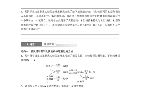 第六单元　第29课时　DNA是主要的遗传物质_2025年新高考资料_一轮复习_2025大一轮复习讲义+课件（完结）_2025大一轮复习讲义生物学生用书Word版文档整书_2025大一轮复习讲义