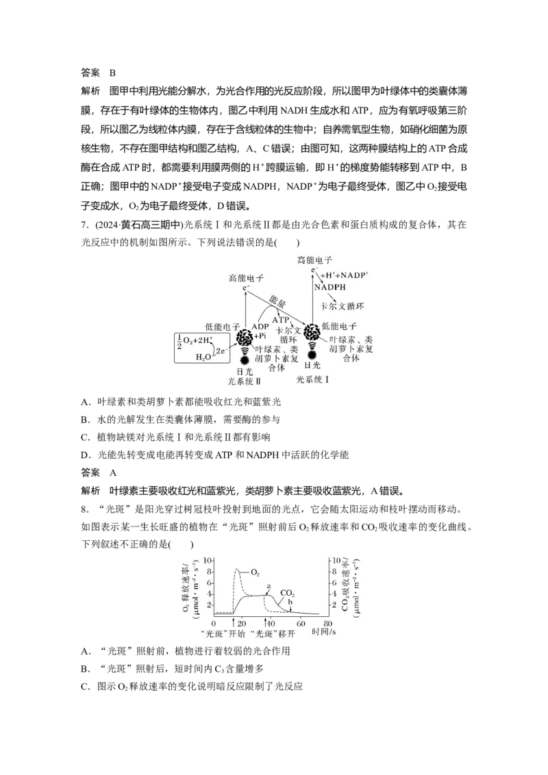 第三单元　第16课时　光合作用的原理_2025年新高考资料_一轮复习_2025大一轮复习讲义+课件（完结）_2025大一轮复习讲义生物教师用书Word版文档整书_配套Word版文档第三~六单元