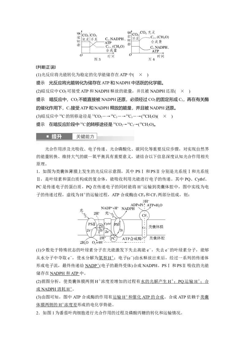 第三单元　第16课时　光合作用的原理_2025年新高考资料_一轮复习_2025大一轮复习讲义+课件（完结）_2025大一轮复习讲义生物教师用书Word版文档整书_配套Word版文档第三~六单元