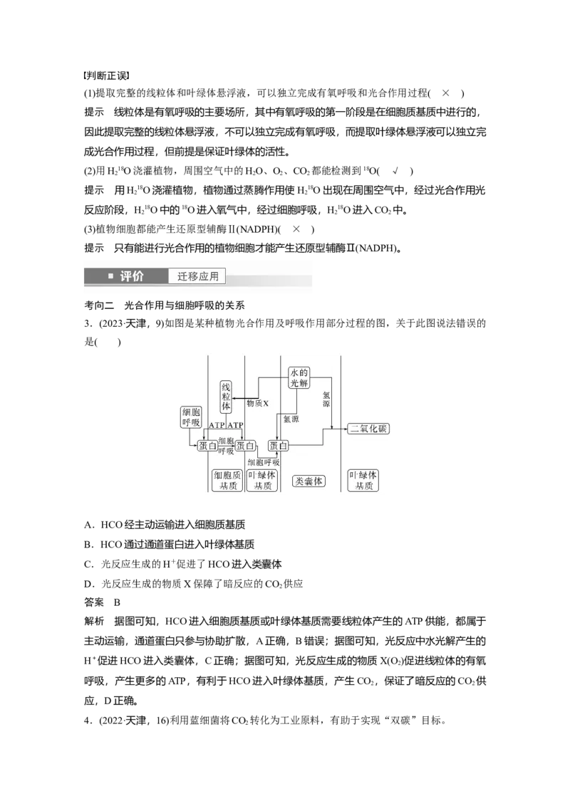第三单元　第16课时　光合作用的原理_2025年新高考资料_一轮复习_2025大一轮复习讲义+课件（完结）_2025大一轮复习讲义生物教师用书Word版文档整书_配套Word版文档第三~六单元