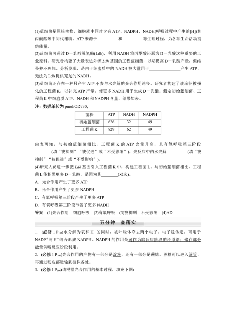 第三单元　第16课时　光合作用的原理_2025年新高考资料_一轮复习_2025大一轮复习讲义+课件（完结）_2025大一轮复习讲义生物教师用书Word版文档整书_配套Word版文档第三~六单元