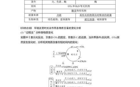 第三单元　第16课时　光合作用的原理_2025年新高考资料_一轮复习_2025大一轮复习讲义+课件（完结）_2025大一轮复习讲义生物教师用书Word版文档整书_配套Word版文档第三~六单元