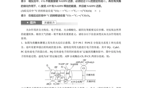 第三单元　第16课时　光合作用的原理_2025年新高考资料_一轮复习_2025大一轮复习讲义+课件（完结）_2025大一轮复习讲义生物教师用书Word版文档整书_配套Word版文档第三~六单元