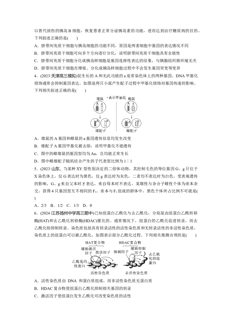第六单元　课时练32　基因表达与性状的关系_2025年新高考资料_一轮复习_2025大一轮复习讲义+课件（完结）_2025大一轮复习讲义生物学生用书Word版文档整书_2025一轮复习73练
