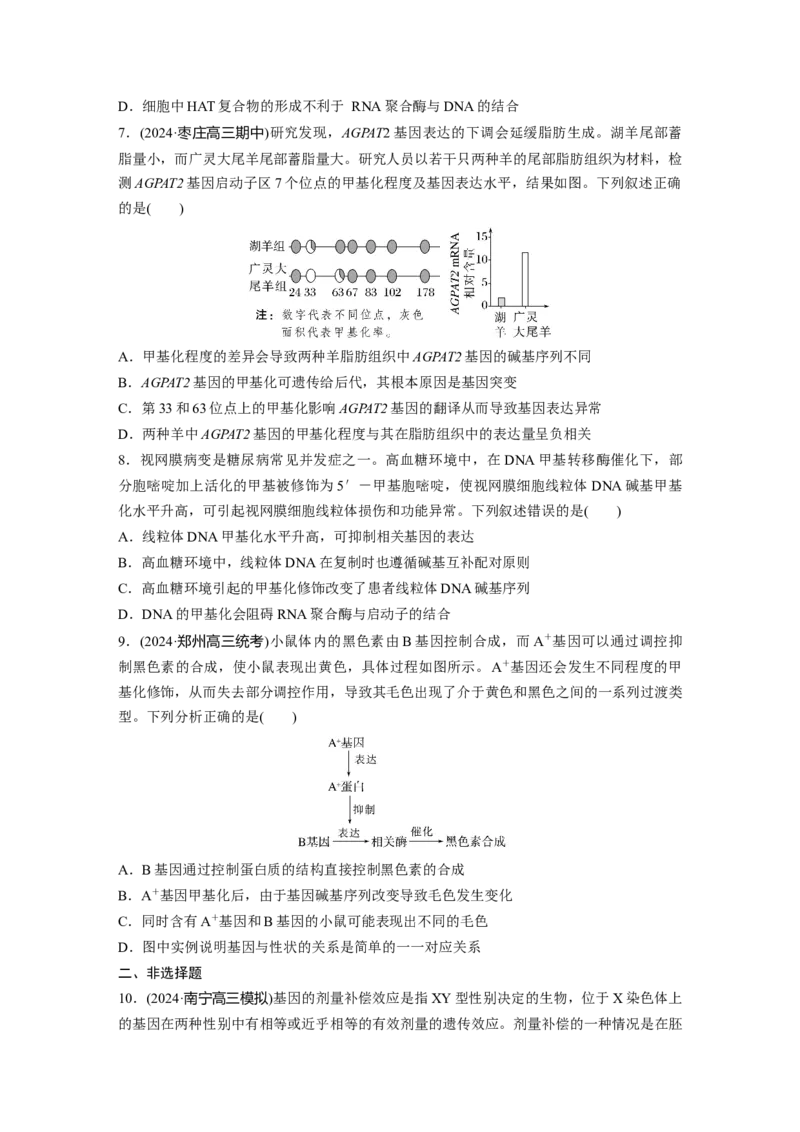 第六单元　课时练32　基因表达与性状的关系_2025年新高考资料_一轮复习_2025大一轮复习讲义+课件（完结）_2025大一轮复习讲义生物学生用书Word版文档整书_2025一轮复习73练
