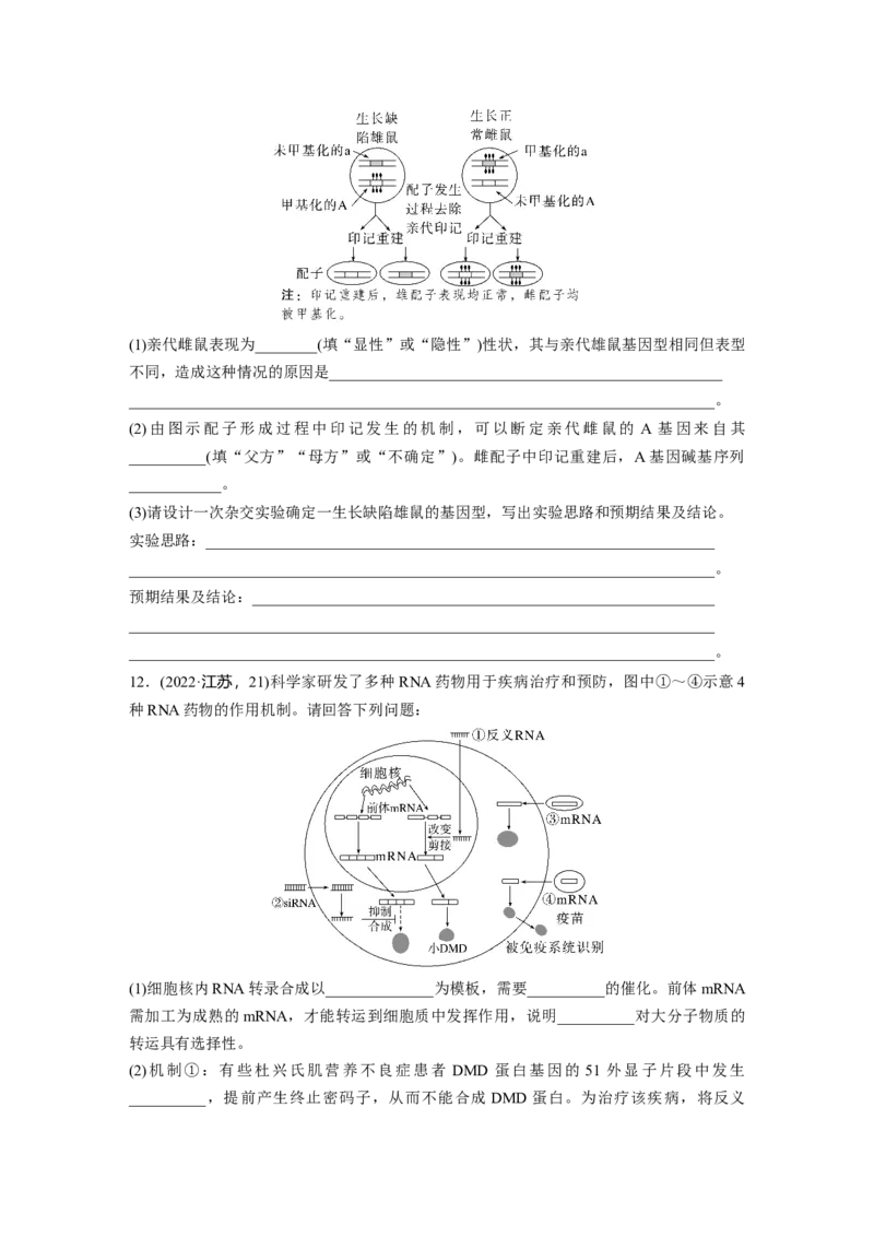 第六单元　课时练32　基因表达与性状的关系_2025年新高考资料_一轮复习_2025大一轮复习讲义+课件（完结）_2025大一轮复习讲义生物学生用书Word版文档整书_2025一轮复习73练