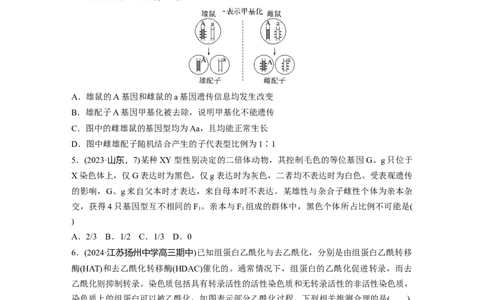 第六单元　课时练32　基因表达与性状的关系_2025年新高考资料_一轮复习_2025大一轮复习讲义+课件（完结）_2025大一轮复习讲义生物学生用书Word版文档整书_2025一轮复习73练