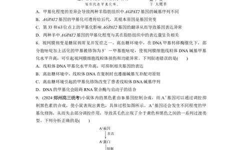 第六单元　课时练32　基因表达与性状的关系_2025年新高考资料_一轮复习_2025大一轮复习讲义+课件（完结）_2025大一轮复习讲义生物学生用书Word版文档整书_2025一轮复习73练