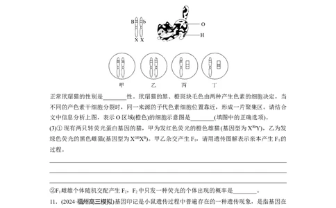 第六单元　课时练32　基因表达与性状的关系_2025年新高考资料_一轮复习_2025大一轮复习讲义+课件（完结）_2025大一轮复习讲义生物学生用书Word版文档整书_2025一轮复习73练