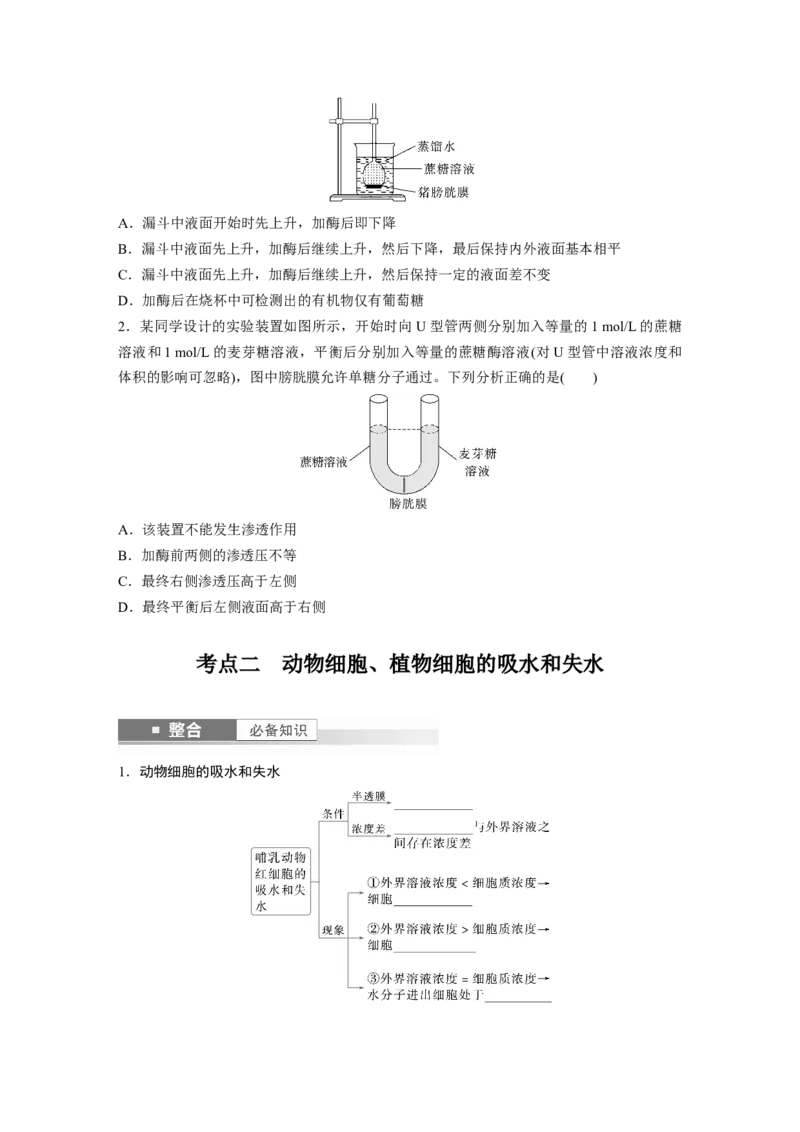 第二单元　第9课时　水进出细胞的原理_2025年新高考资料_一轮复习_2025大一轮复习讲义+课件（完结）_2025大一轮复习讲义生物学生用书Word版文档整书_2025大一轮复习讲义