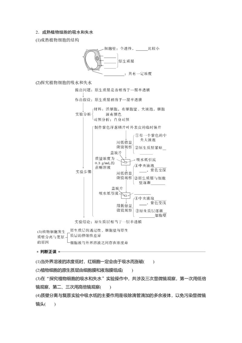 第二单元　第9课时　水进出细胞的原理_2025年新高考资料_一轮复习_2025大一轮复习讲义+课件（完结）_2025大一轮复习讲义生物学生用书Word版文档整书_2025大一轮复习讲义