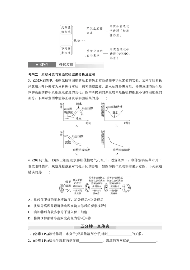 第二单元　第9课时　水进出细胞的原理_2025年新高考资料_一轮复习_2025大一轮复习讲义+课件（完结）_2025大一轮复习讲义生物学生用书Word版文档整书_2025大一轮复习讲义