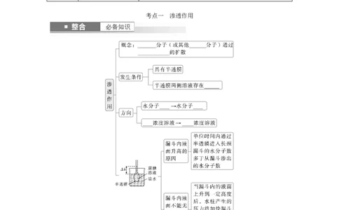 第二单元　第9课时　水进出细胞的原理_2025年新高考资料_一轮复习_2025大一轮复习讲义+课件（完结）_2025大一轮复习讲义生物学生用书Word版文档整书_2025大一轮复习讲义