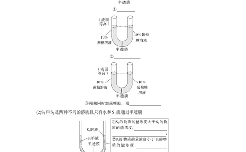 第二单元　第9课时　水进出细胞的原理_2025年新高考资料_一轮复习_2025大一轮复习讲义+课件（完结）_2025大一轮复习讲义生物学生用书Word版文档整书_2025大一轮复习讲义