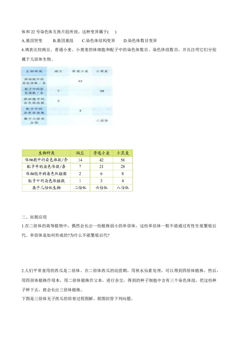 第5章基因突变及其他变异-查漏补缺2023年高考生物一轮复习教材必背细节与旁栏思考梳理汇总（新教材）（学生版）_新高考复习资料_2023年新高考复习资料_一轮复习