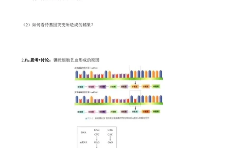 第5章基因突变及其他变异-查漏补缺2023年高考生物一轮复习教材必背细节与旁栏思考梳理汇总（新教材）（学生版）_新高考复习资料_2023年新高考复习资料_一轮复习