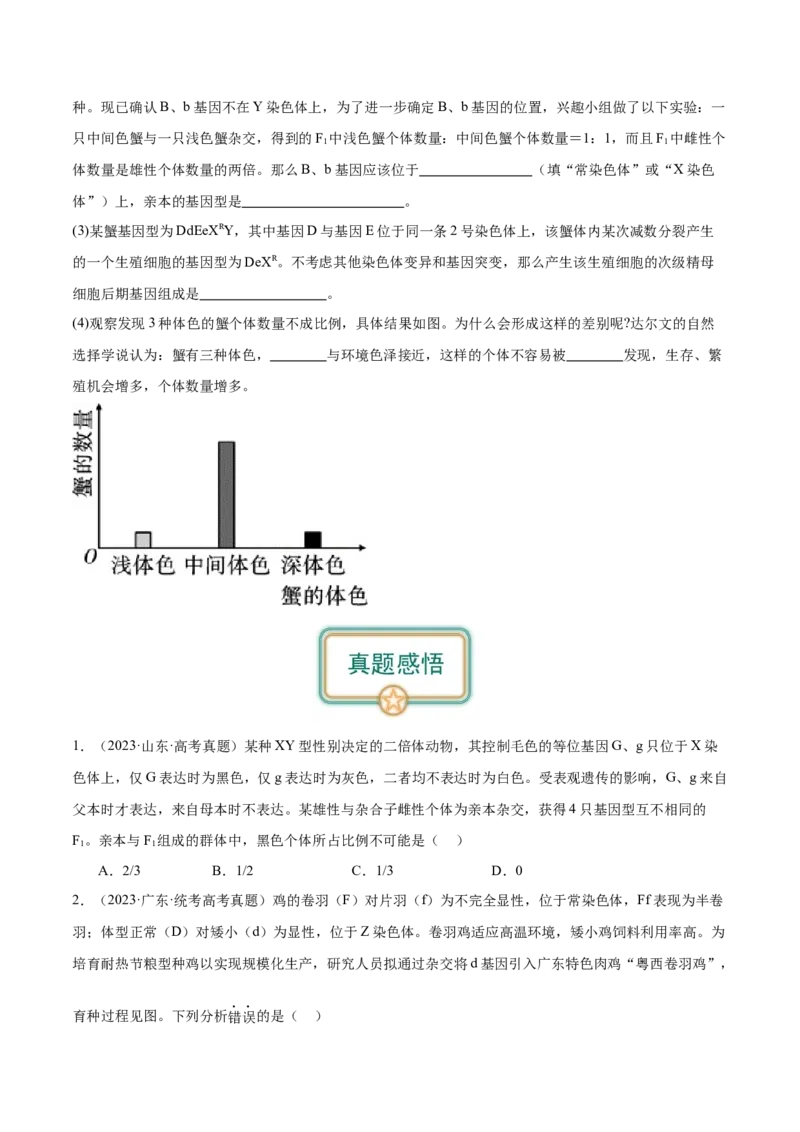 第5讲性别决定和伴性遗传（原卷版）_通用版（老高考）复习资料_2024年复习资料_完备战2024年高考生物一轮复习考点帮（全国通用）_专题六基因的传递规律