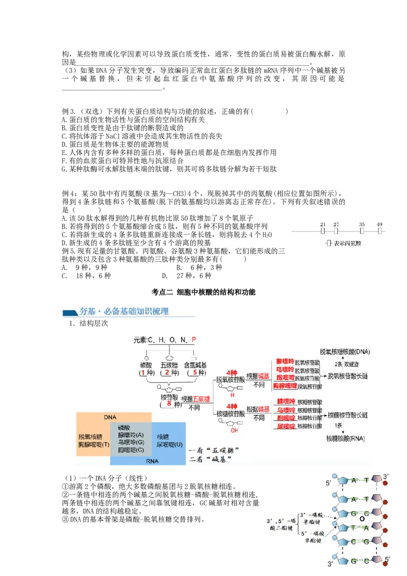 第4讲细胞中的蛋白质和核酸（讲义）（学生版）_新高考复习资料_2024年新高考复习资料_一轮复习资料_完2024年高考生物一轮复习讲练测(课件+讲义+练习)（新高考）_讲义+练习