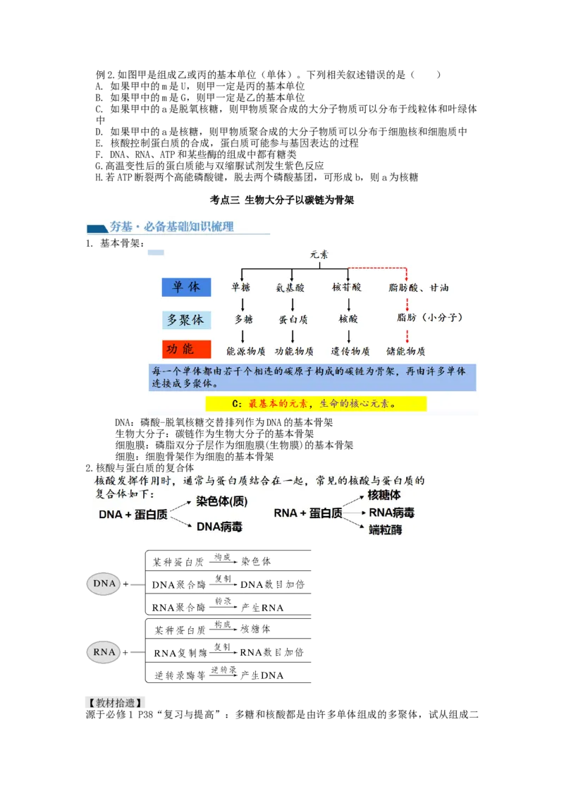 第4讲细胞中的蛋白质和核酸（讲义）（学生版）_新高考复习资料_2024年新高考复习资料_一轮复习资料_完2024年高考生物一轮复习讲练测(课件+讲义+练习)（新高考）_讲义+练习