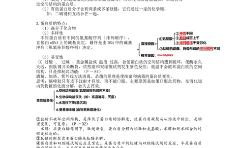 第4讲细胞中的蛋白质和核酸（讲义）（学生版）_新高考复习资料_2024年新高考复习资料_一轮复习资料_完2024年高考生物一轮复习讲练测(课件+讲义+练习)（新高考）_讲义+练习