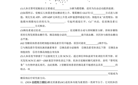 第八单元　课时练40　激素与内分泌调节及激素调节的过程_新高考复习资料_2025年新高考资料_2025新高考一轮复习生物_2025大一轮复习讲义生物人教版学生用书Word版文档整书