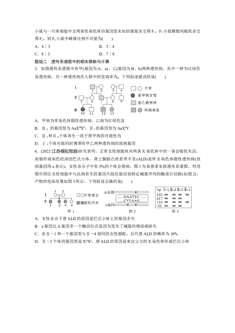 第一篇专题四考点三　伴性遗传与人类遗传病_通用版（老高考）复习资料_2023年复习资料_二轮复习_2023年高考生物二轮复习讲义+课件（全国版）_2023年高考生物二轮复习讲义（全国版）