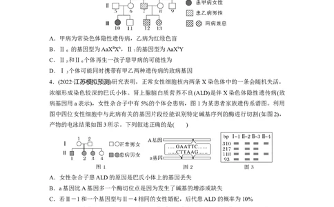 第一篇专题四考点三　伴性遗传与人类遗传病_通用版（老高考）复习资料_2023年复习资料_二轮复习_2023年高考生物二轮复习讲义+课件（全国版）_2023年高考生物二轮复习讲义（全国版）