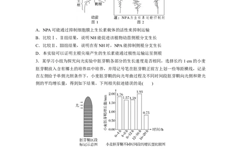 第8单元　微专题七　植物激素调节的相关实验探究_新高考复习资料_2024年新高考复习资料_一轮复习资料_完2024生物步步高大一轮复习（课件+讲义）_学生版在此文件夹_大一轮复习讲义