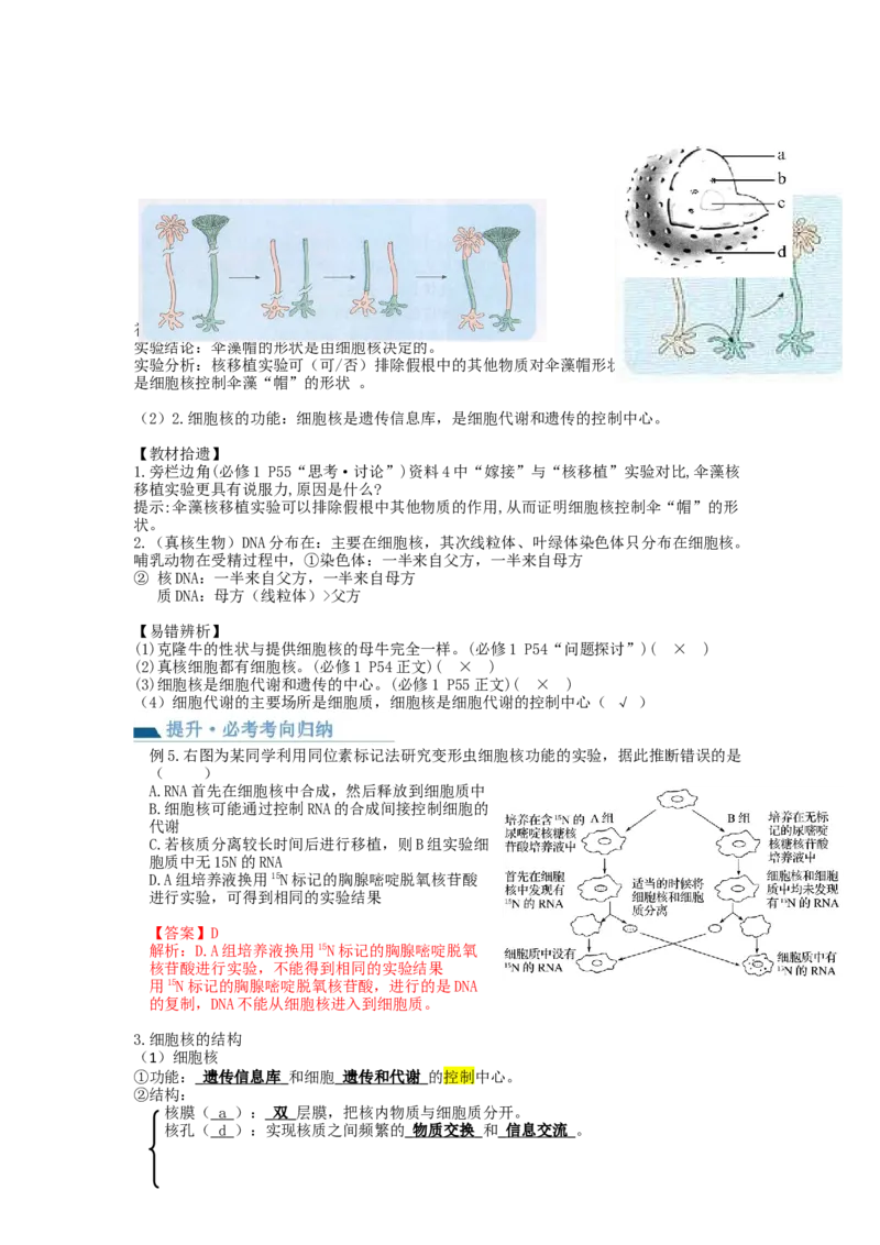 第5讲细胞膜和细胞核（讲义）（教师版）_新高考复习资料_2024年新高考复习资料_一轮复习资料_完2024年高考生物一轮复习讲练测(课件+讲义+练习)（新高考）_讲义+练习