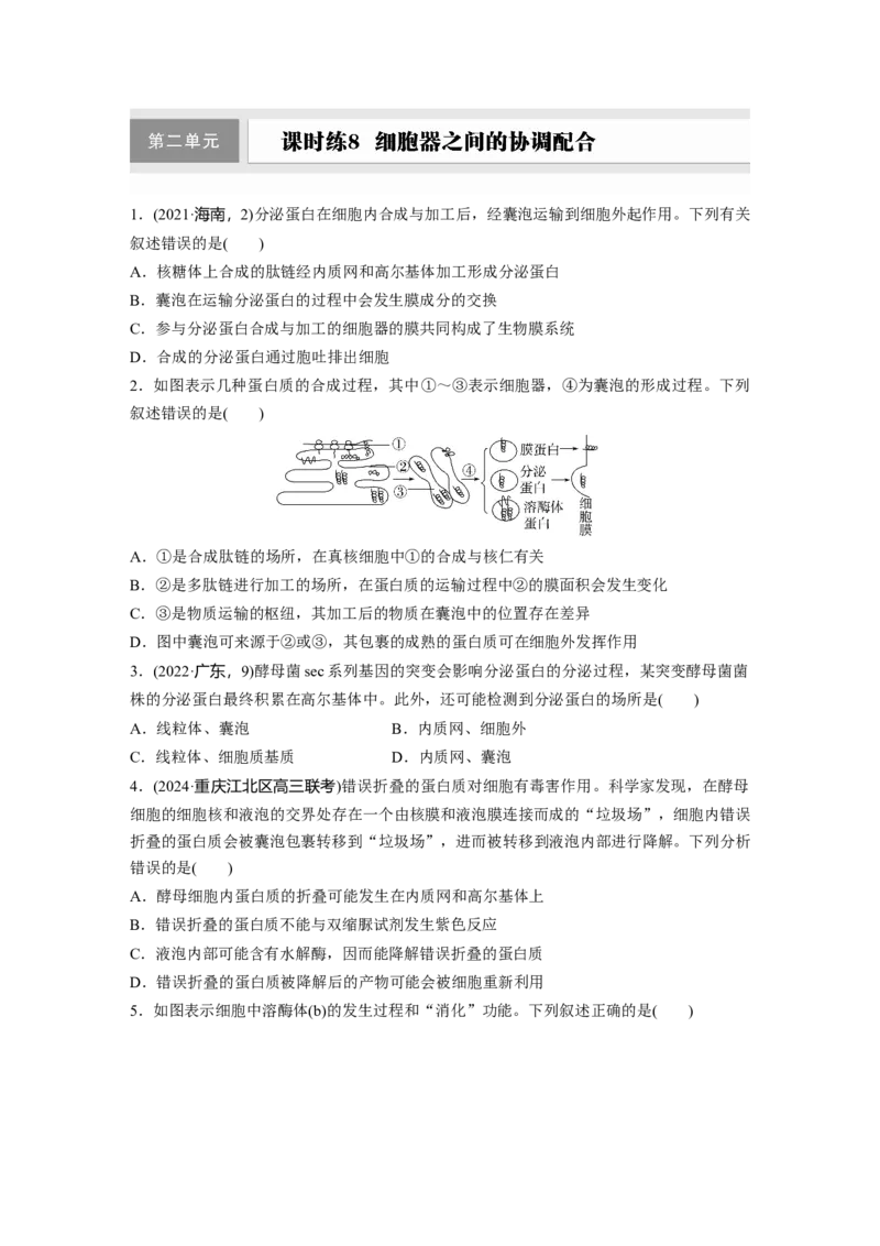 第二单元　课时练8细胞器之间的协调配合_2025年新高考资料_一轮复习_2025大一轮复习讲义+课件（完结）_2025大一轮复习讲义生物学生用书Word版文档整书_2025一轮复习73练