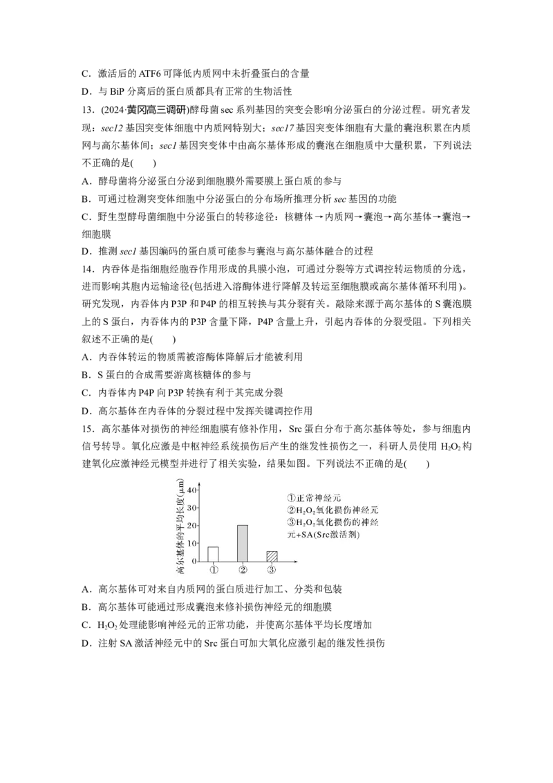 第二单元　课时练8细胞器之间的协调配合_2025年新高考资料_一轮复习_2025大一轮复习讲义+课件（完结）_2025大一轮复习讲义生物学生用书Word版文档整书_2025一轮复习73练