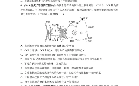 第二单元　课时练8细胞器之间的协调配合_2025年新高考资料_一轮复习_2025大一轮复习讲义+课件（完结）_2025大一轮复习讲义生物学生用书Word版文档整书_2025一轮复习73练