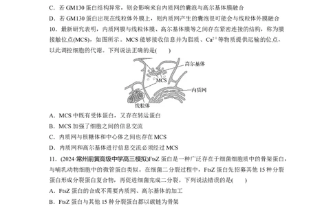 第二单元　课时练8细胞器之间的协调配合_2025年新高考资料_一轮复习_2025大一轮复习讲义+课件（完结）_2025大一轮复习讲义生物学生用书Word版文档整书_2025一轮复习73练