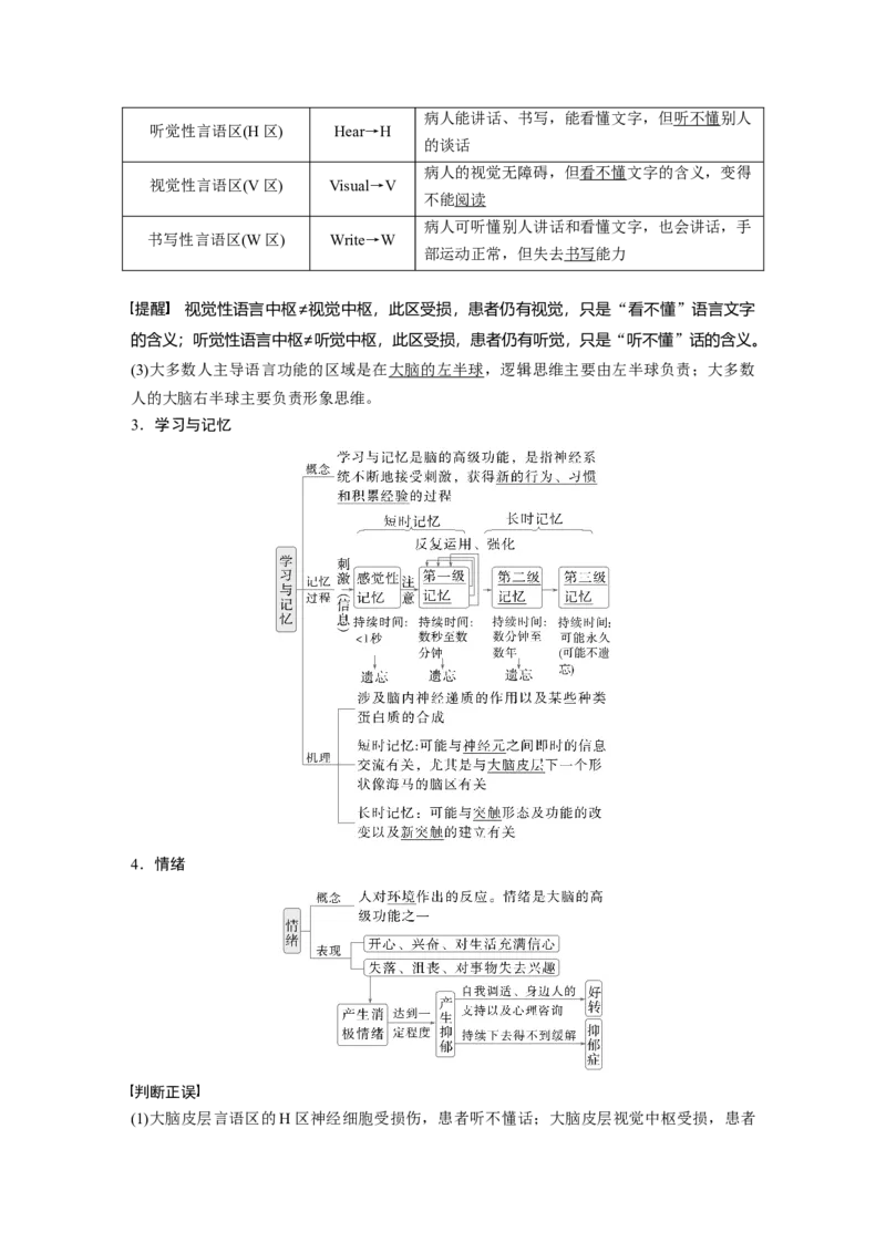 第八单元　第39课时　神经系统的分级调节及人脑的高级功能_2025年新高考资料_一轮复习_2025大一轮复习讲义+课件（完结）_2025大一轮复习讲义生物教师用书Word版文档整书