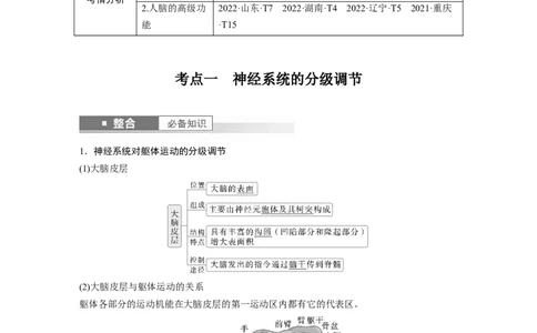 第八单元　第39课时　神经系统的分级调节及人脑的高级功能_2025年新高考资料_一轮复习_2025大一轮复习讲义+课件（完结）_2025大一轮复习讲义生物教师用书Word版文档整书