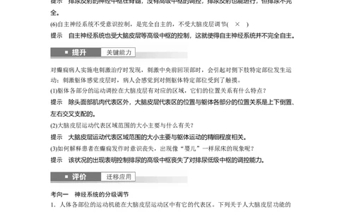第八单元　第39课时　神经系统的分级调节及人脑的高级功能_2025年新高考资料_一轮复习_2025大一轮复习讲义+课件（完结）_2025大一轮复习讲义生物教师用书Word版文档整书